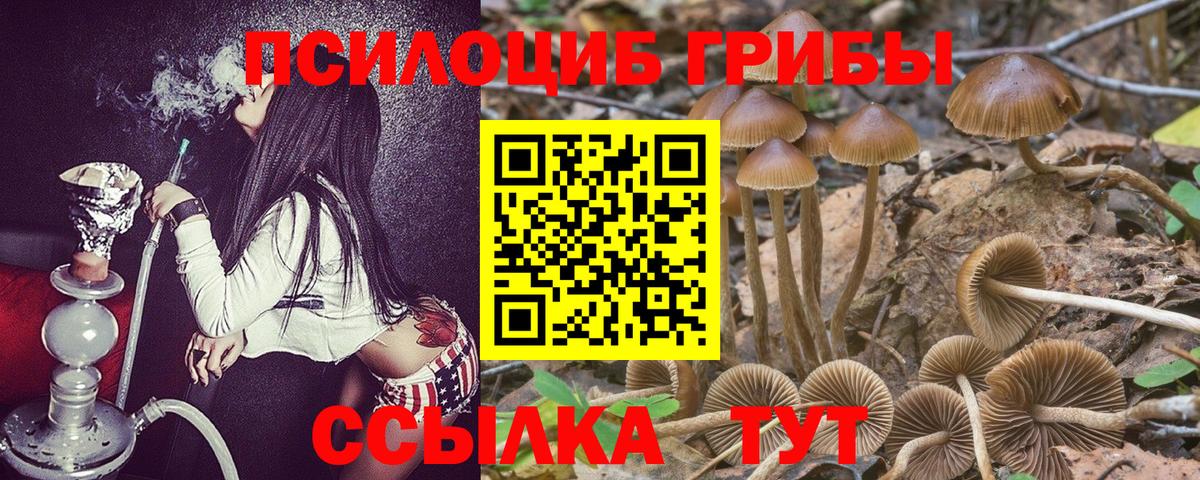 Галлюциногенные грибы MAGIC MUSHROOMS Хабаровск